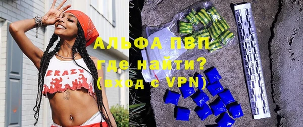 прущие грибы Покров